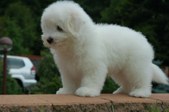 Enlarge photo 135