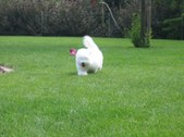 Enlarge photo 57