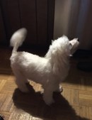Enlarge photo 5