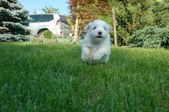 Enlarge photo 109