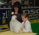 Enlarge photo 77