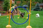 Enlarge photo 79