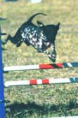 Enlarge photo 16