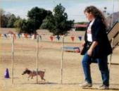 Enlarge photo 12