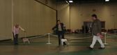 Enlarge photo 81