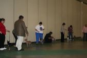 Enlarge photo 67