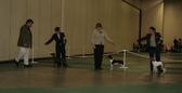 Enlarge photo 43