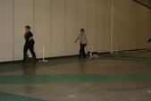 Enlarge photo 42