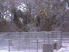 IceStorm12/02