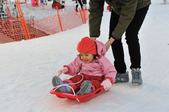 Enlarge photo 21