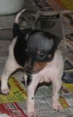 Enlarge photo 12