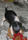 Enlarge photo 13