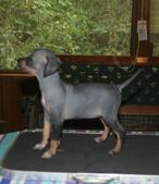 Enlarge photo 17