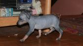Enlarge photo 14