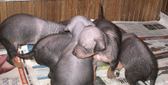 Enlarge photo 23
