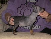 Enlarge photo 8