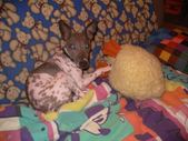 Enlarge photo 5