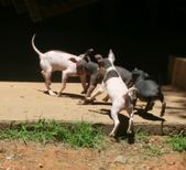 Enlarge photo 6