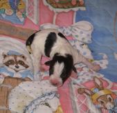 Enlarge photo 19