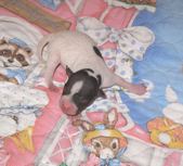 Enlarge photo 22
