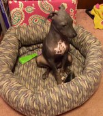 Enlarge photo 58