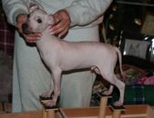 Enlarge photo 6