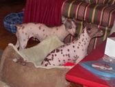 Enlarge photo 23