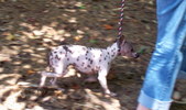 Enlarge photo 10