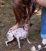 Enlarge photo 9