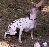 Enlarge photo 8