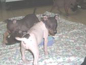 Enlarge photo 15