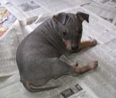 Enlarge photo 9