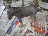 Enlarge photo 10