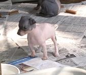 Enlarge photo 23
