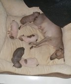 Enlarge photo 14