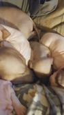 Enlarge MPEG4 10