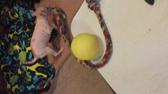 Enlarge MOV 36