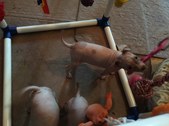 Enlarge photo 29