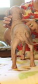 Enlarge photo 2