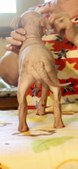 Enlarge photo 1