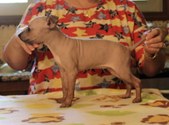 Kariline and Floyd Babies