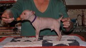 Enlarge photo 58