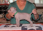 Enlarge photo 55