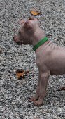 Enlarge photo 27