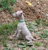 Enlarge photo 18