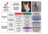 Enlarge PDF 133