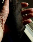 Enlarge photo 81