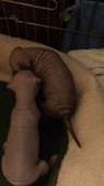 Enlarge photo 46