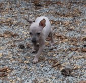 Enlarge photo 23