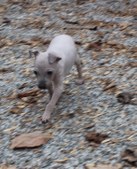 Enlarge photo 22